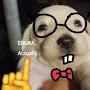 @HumorDog9Lozi