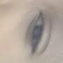 @bonnardcolin2828