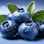 @blueberry-d7g6d