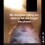 @A_fat-rat