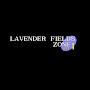 @lavenderfieldsz