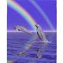 @marialeticiagutierrezmoral5844