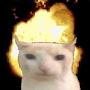 @potato-t9k