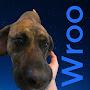@Wroo-h1p