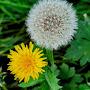 @pamworrow3520