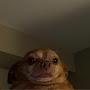 @isbnean