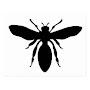 @blackwasp4035