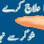 @hakeemmalikzahid7619