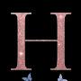 @hirajavedasmervideolifehacksma