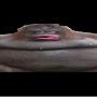 @gamingmonke1269