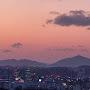 @버들피리-i4z