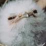 @OneeepyBorb