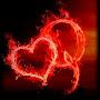 @baronbier7648