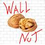 @wallnut1972