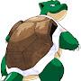 @Adoptedturtle