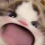 @쁘띠-x6z