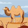 @InspirationalCamel-ti6pz