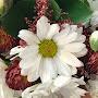@M.-C.D._Youtube_Channel