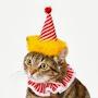 @verysmallcat