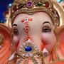 @mohanshukla2421