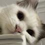 @to-moe1048