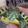 @animaluniverse8165