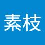 @李素枝-g3t