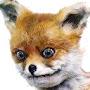 @uknowhy