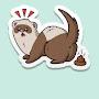 @Ferret181