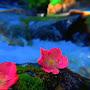 @shravancreation8543