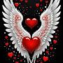 @Massoud_591