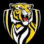 @VBTIGER89