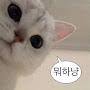 @허도윤-c5z