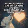 @marianroman8754