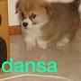 @lordautozam1121