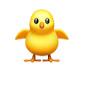 @dailyduckgaming