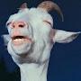 @therandommemegoat549