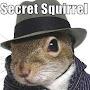 @secretsquirrel2249
