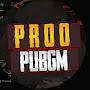 @PROPUBGM1K