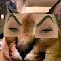 @bingolos9063