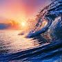 @talalalhoyani4765