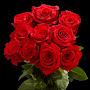 @nn-mv4ov2bf3y