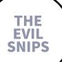 @thevilsnipsofficial
