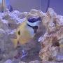 @reefadventures9951