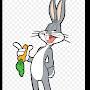 @bugsbunny8105