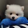 @곰-m6l