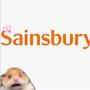@AMELIASAINSBURYS