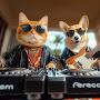 @PurrAndBarkDJs