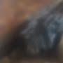 @birdiewairimu1355