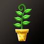 @Seed